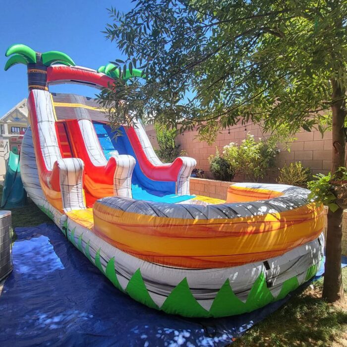 Yellow Tropical Waterslide