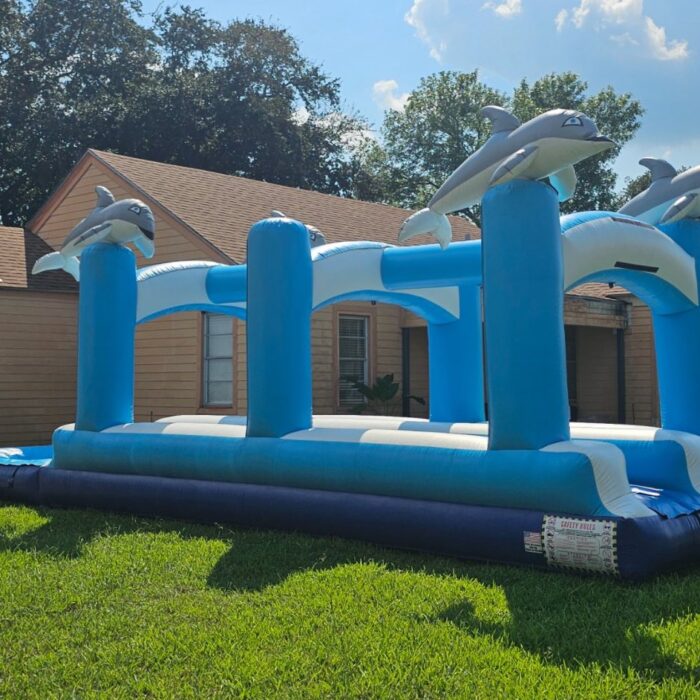Dolphin Splash Dual Lane Slip ‘n Slide