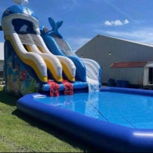 Whale Splash Waterslide (25ft)