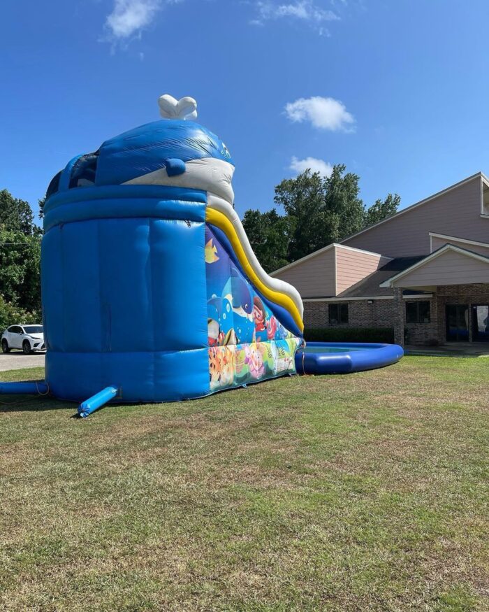 Whale Splash Waterslide (25ft) - Image 4