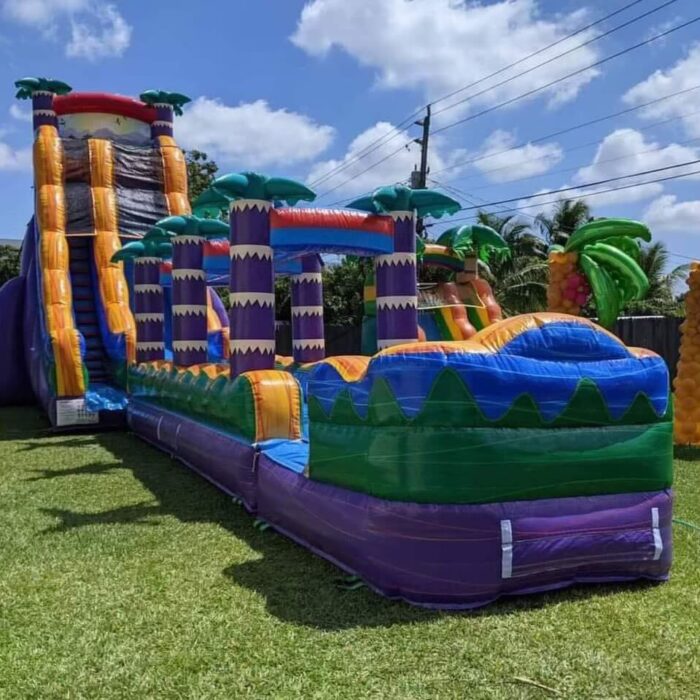 Tropical Fiesta Waterslide