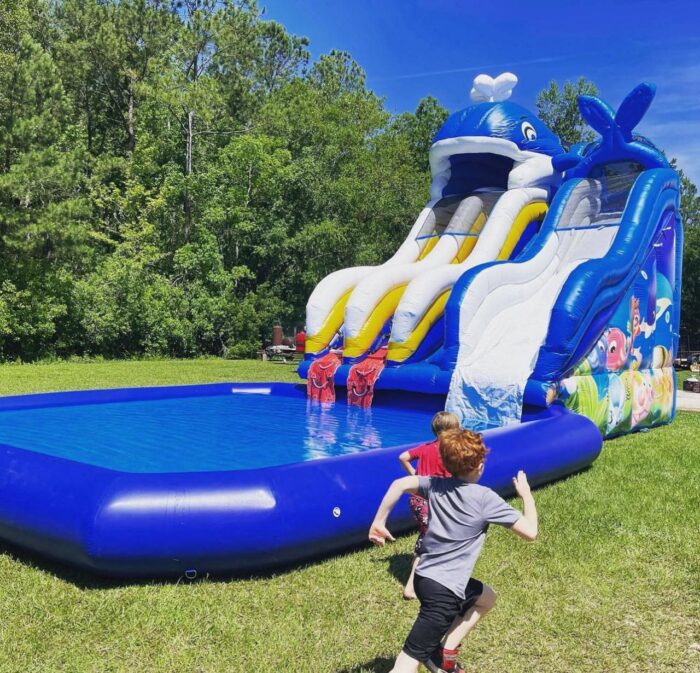 Whale Splash Waterslide (25ft)
