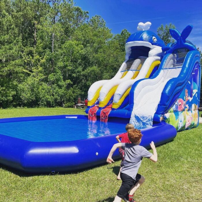 Whale Splash Waterslide (25ft)