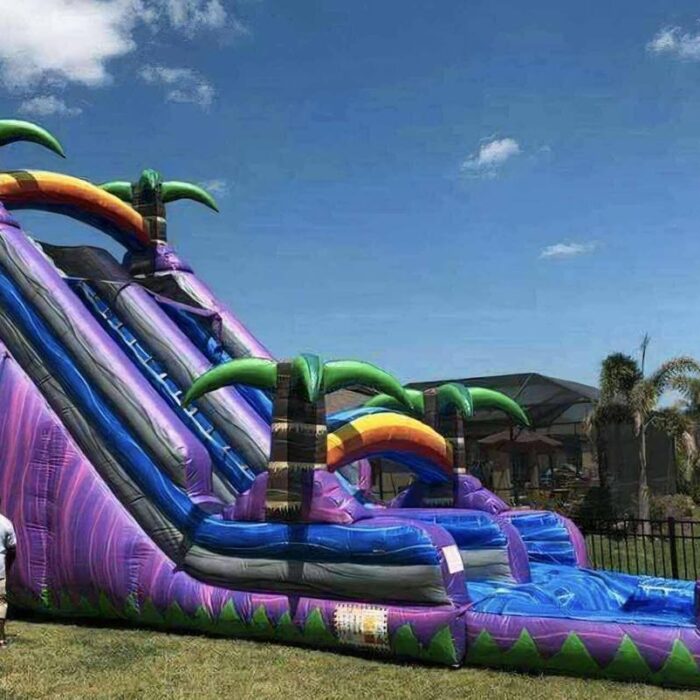 Purple Tropical Waterslide